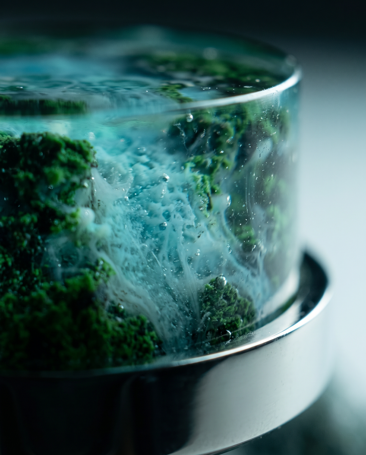 NATURE'S PHENOMENA - EMERALD LAGOON