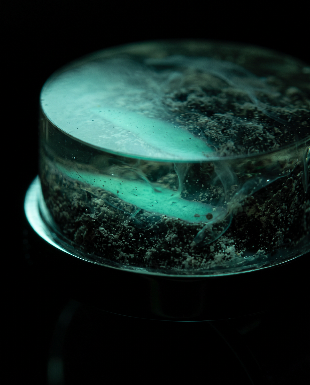 NATURE'S PHENOMENA - GLACIAL LAKE